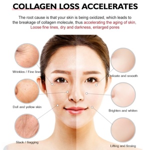 Crème de nuit anti-âge pour le visage OEM, réparation des rides, crème pour le visage pure à 0,3% de rétinol et 2% de BHA, booster de collagène pour la peau, crème anti-rides - Product Image 2