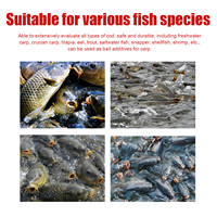 Attractant Liquide pour Poissons à l'Odeur de Ver Rouge, Additif pour Appât de Pêche, Améliorateur de Leurre pour Carpes, Basses, Truites, Poissons-chats en Eau Douce et Salée