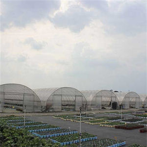 Serre <span class=keywords><strong>agricole</strong></span> commerciale isolée, serre-cercle, à vendre, <span class=keywords><strong>2021</strong></span>, Offre Spéciale - Product Image 6