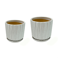 Pot de fleurs en céramique respirant avec un design nordique simple à rayures blanches pour la décoration de la maison, vase à fleurs de luxe