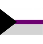 08Demi-asexual Flag