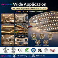 Bande lumineuse super brillante CE UL DC24V 10mm 280 LED 17W 6000K 4000K 3000K 2700K pour plafond