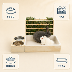 Cage à Cailles en Bois avec Mangeoire Intégrée – Boîte d'Élevage Tout-en-un pour Petits Animaux – Couveuse en Bois Massif pour Hamster, Lapin, Poussin – Anti-Évasion - Product Image 2