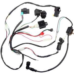 Harnais de moteur automobile Ls3 4.8L 5.3L 6.0L interchangeable, kit de harnais DBC DBW indépendant 4L60E pour véhicules à énergie nouvelle - Product Image 1