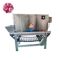 Machine à peler les oignons de grande capacité, personnalisée, de type chaîne