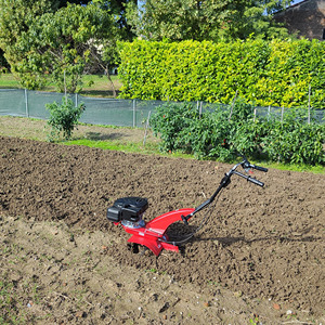 EUROSYSTEMS Motor-Hoe Z2 Single Speed B & S 450 Series Herramientas de jardín Cultivador de jardín fácil de operar - Product Image 3