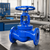 Vanne à soupape à bride en fonte ductile GGG50 DN65 PN16 à entretien facile avec garniture réglable pour ligne d'alimentation en eau