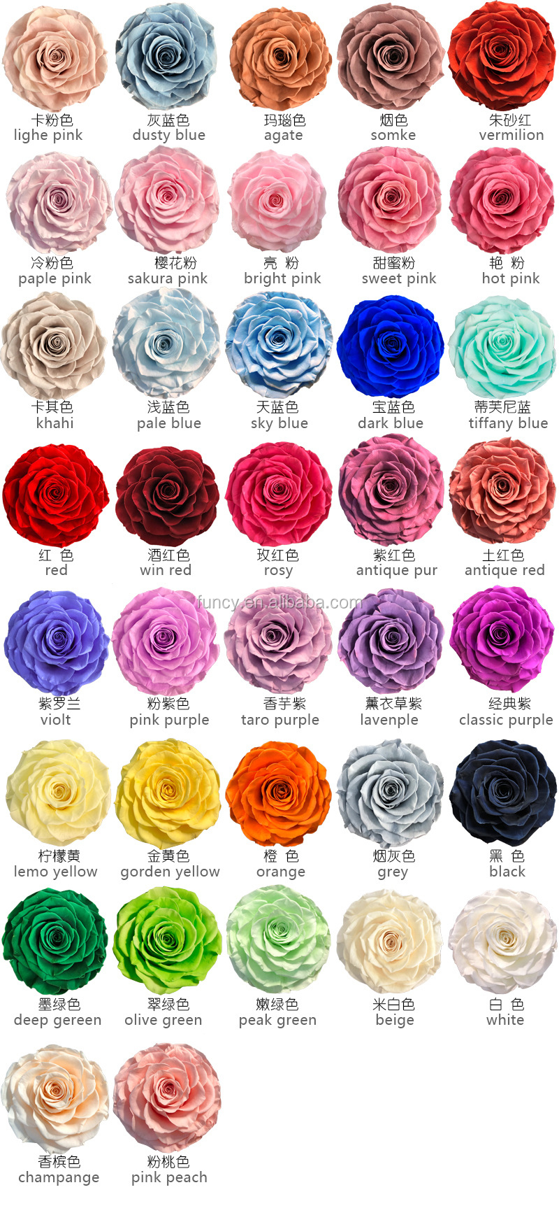 colore rosa