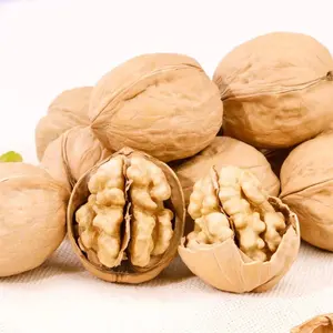 Wholesale Healthy Delicious 100% Organic Best Quality Export Walnut Best Price Raw Dry Fruits Washed Walnuts free sample