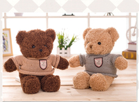Jouets en peluche ours en peluche enregistrement vocal personnalisé