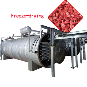 Secador por Congelación al Vacío, Dispositivo <span class=keywords><strong>para</strong></span> Congelación y Deshidratación a Baja Temperatura <span class=keywords><strong>de</strong></span> Productos Cárnicos, Frutas y Verduras - Product Image 5