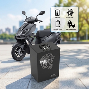 Batterie au phosphate de fer et de lithium LiFePO4 prismatique 72V 54Ah avec BMS intelligent, 2000W 3000W, pour moto sportive, scooter, moto, véhicule électrique - Product Image 2
