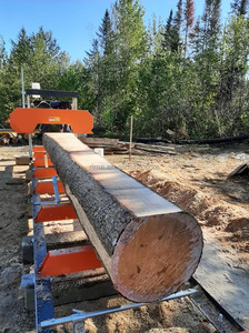 RIMA sawmilポータブルバンドのこぎりマシンRS31E - Product Image 4