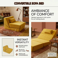 Canapé-lit convertible moderne en mousse haute densité, chaise-lit pliante pour petit appartement, mobilier de salon