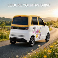 Voiture électrique à 4 roues pour adultes, mini véhicule électrique pour les trajets en ville, prix abordable avec climatisation et charge rapide