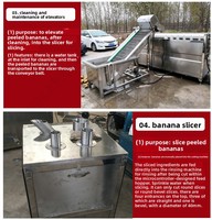 Offre Spéciale – Ligne de Production Entièrement Automatique de Chips de Banane et de Plantain 100-500 kg/h avec Friteuse pour Légumes – Prix Usine