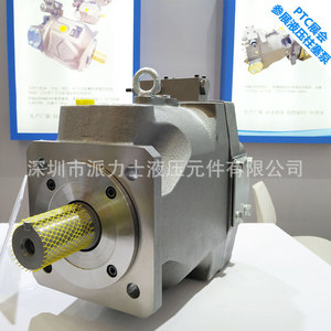 Pailis ปั๊ม PV20-2R1D-C02แบบลูกสูบ, เครื่องปั๊มบูสเตอร์ไฟฟ้าแนวนอนเหล็กหล่อ - Product Image 5