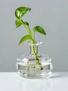 Jarrón de Vidrio Pequeño Soplado a Mano al por Mayor, Diseño Art Deco, Centro de Mesa, Decoración del Hogar, Botella para Hidroponía - Product Image 2