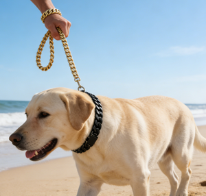 Wunderbares Luxus-Hundehalsband aus Edelstahl für den Außenbereich mit Öko-Nieten-Design - Product Image 5