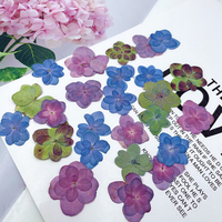 Fiori di Ortensia Essiccati e Pressati all'Ingrosso per Decorazioni Fai-da-Te, Segnalibri in Resina, Gioielli, Cartoline e Cover per Telefoni