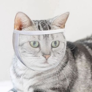 Bozal Transparente para Gatos, Máscara Protectora Anti-Lamido y Anti-Mordida para el Cuidado y <span class=keywords><strong>la</strong></span> Limpieza - Product Image 4
