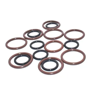 O-ring/Orings/guarnizione Fkm vari di alta qualità Made In China