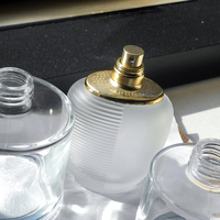 Vente en gros de flacons de parfum vides de luxe de 100 ml avec pulvérisateur à pompe, surface givrée, design élégant en verre