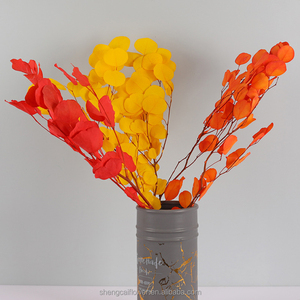 Naturale essiccato eucalipto populus foglie di mela tecnologia conservata essiccazione per fiori decorativi ghirlande e piante <span class=keywords><strong>rose</strong></span> - Product Image 4