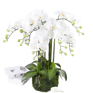 Orchidées artificielles en latex de haute qualité, faites à la main, toucher réel, pot en céramique, décoration d'intérieur pour la rentrée scolaire, la fête des mères, la remise des diplômes - Longue durée - Product Image 1