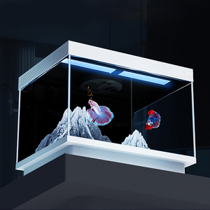 リラクゼーションラインDC5v/2Aデスクトップガラス水族館スクエア水槽4w RGB LEDライトと酸素ポンプ付き - Product Image 6