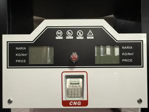 Bluesky Chất lượng cao vòi phun đôi cng Dispenser 2 lưu lượng kế cng điền máy thiết bị Dịch vụ thiết yếu cho cng trạm - Product Image 6