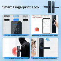 Elock Es242f Automatische Ckd Skd Fabriek Prijs Vingerafdruk Dead Bolt Deur Ttlock Smart Home Berging Smartlock Smart Lock