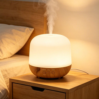 Diffuseur d'huiles essentielles et humidificateur 250 ml pour commande en gros, autonomie 8-16h, 3 lumières LED et fonction minuterie, service OEM disponible