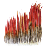 Vente en gros de queues de faisan doré naturel de 5 à 25 cm Plumes à pointe rouge pour coiffure de carnaval Artisanat Costumes de danse