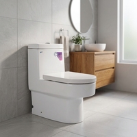 WC monobloc moderne et minimaliste en PVC à siphon, économe en eau, à poser au sol, avec chasse d'eau puissante et jet de pulvérisation