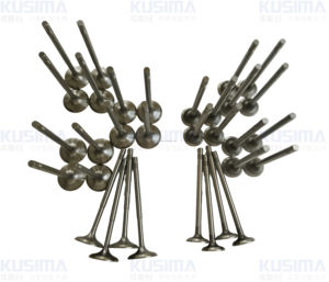 Hochwertiger Teile-Motor ventils atz für Audi VW EA888 EA111 EA211 EA839 C5 C6 C7 Q5 Q7 <span class=keywords><strong>2</strong></span>.0 <span class=keywords><strong>2</strong></span>.4 <span class=keywords><strong>2</strong></span>.8 <span class=keywords><strong>3</strong></span>.0 <span class=keywords><strong>3</strong></span>.<span class=keywords><strong>2</strong></span> <span class=keywords><strong>3</strong></span>.6 4.0T 6.0 T5 T6 - Product Image 6