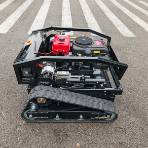 Cortadora de Césped Robótica Autopropulsada con Certificación CE y EPA para Agricultura, Motor de Alta Potencia 23 - Product Image 2