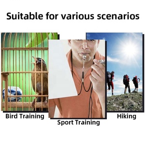 Silbato de Supervivencia de Alta Frecuencia de Doble Tubo, de Aleación de Aluminio Plano, Herramienta de Rescate, Llavero Metálico para Camping, Senderismo y Entrenamiento de Aves - Product Image 3