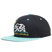 Casquette de baseball pour hommes, professionnelle, personnalisée, 6 faces, mode hip-hop, chapeau de sport, multicolore, pour l'extérieur, pour camionneur