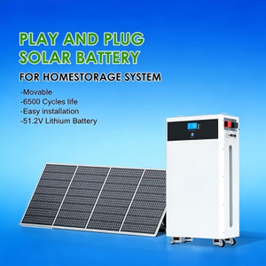 ระบบจัดเก็บพลังงานแสงอาทิตย์แบบกำหนดเอง ตู้ ESS แบตเตอรี่ลิเธียม 48V 300ah 314ah 15kWh 16kWh ระบบจัดเก็บพลังงานสำหรับบ้าน พร้อมระบบ BMS อัจฉริยะ - Product Image 5