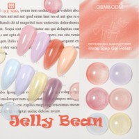 ICE NOVA Factory Summer 20 Warna Pink Jelly Gel Nail Polish Set Box TPO HEMA FREE OEM Koleksi Gel Polish Pink Transparan