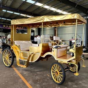 Luxury Electric Sightseeing Carriage-Customizable <b>Double</b>-Row Special Transportation for Wedding Party Events - Product Image 1