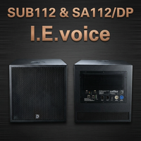 Speaker Frekuensi Ultra-Rendah 12-Inci Profesional ODM/OEM Multi-Guna Berbahan Kayu Birch Plywood dan Logam dengan Audio Hi-Res