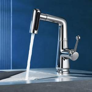 Robinet de lavabo escamotable pour la maison, robinet d'évier à eau chaude et froide brossé avec mécanisme de levage et de rotation pour la salle de bain - Product Image 1