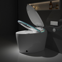 Asiento de Inodoro Inteligente con Control Remoto, Bidé con Agua Caliente, Lavado y Purificador de Aire con Ahorro de Energía, Venta al por Mayor