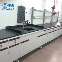 Table de travail en acier et bois COSMOLab LB-CWS-02 pour écoles, hôpitaux et laboratoires, avec évier, résistante aux acides et aux alcalis, certifiée CE ISO