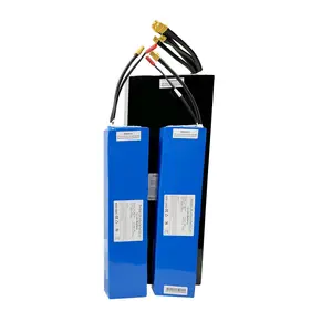 Hochwertiger wiederauf ladbarer 24-Volt-Lithium-Ionen-Akku 25,2 V 7 s2p 2200mah 4400mah für elektrisches Skateboard