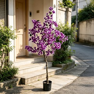 High Quality Real Touch Artificial Silk Bougainvillea <b>Trees</b> Durable Indoor Desktop Plants - Product Image 3