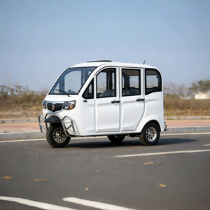 Endurance <b>70</b>-90km Factory Trike 1000W Closed Body Passenger 3 Rickshaw Tricycle Controller - Product Image 2