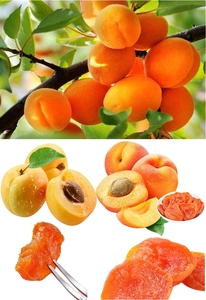 Originale piantare snack sani essiccati fette di frutta <span class=keywords><strong>albicocca</strong></span> nera naturale puro gusto agrodolce <span class=keywords><strong>albicocca</strong></span> secca - Product Image 3